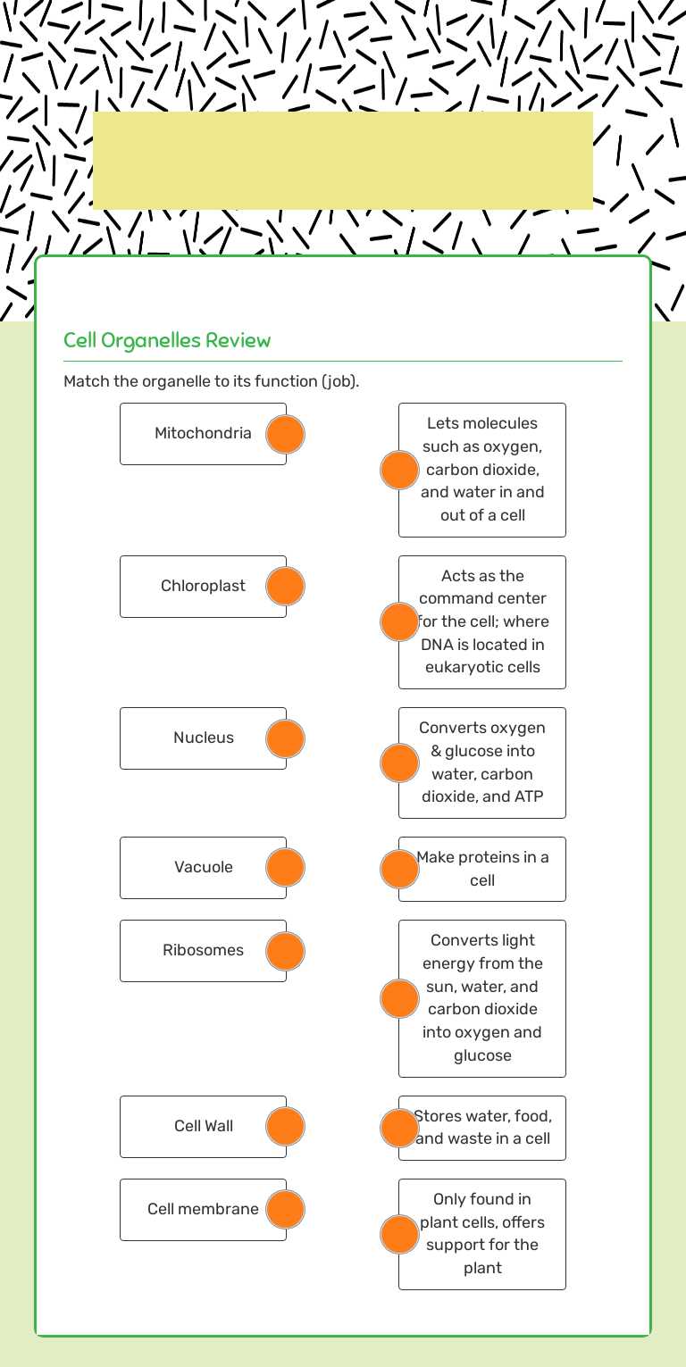 Organelle  function Grade 7 worksheet preview