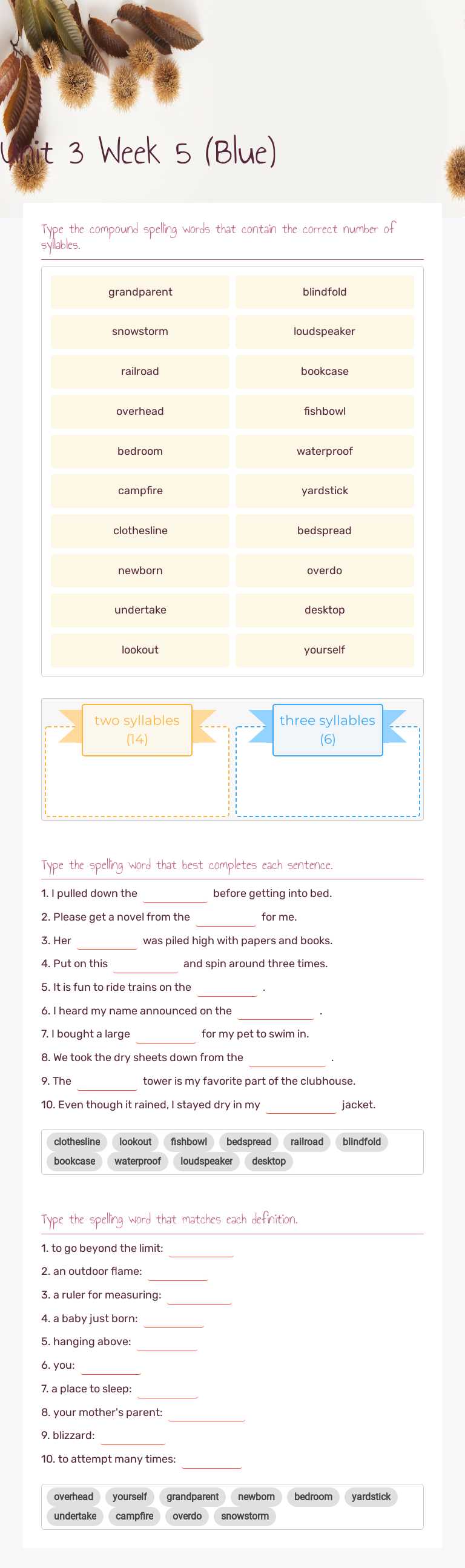 Unit 3 Week 5 (Blue) worksheet preview