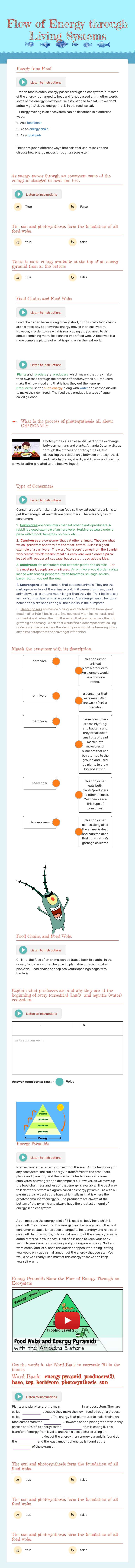 Flow of Energy through Living Systems worksheet preview image
