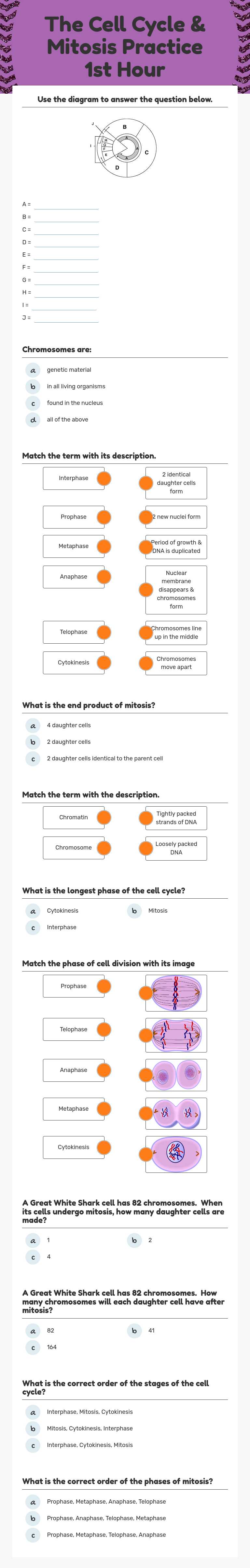 The Cell Cycle & Mitosis Practice 1st Hour worksheet preview image