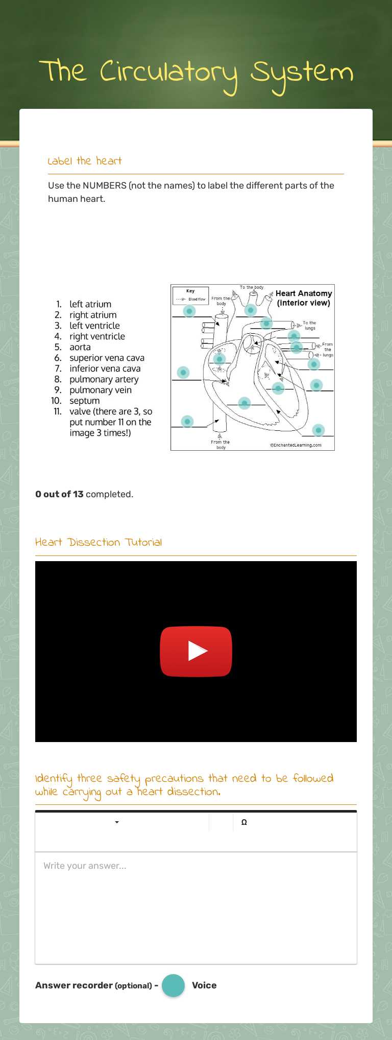 The Circulatory System by Paige Milish | Interactive Worksheet | Wizer.me
