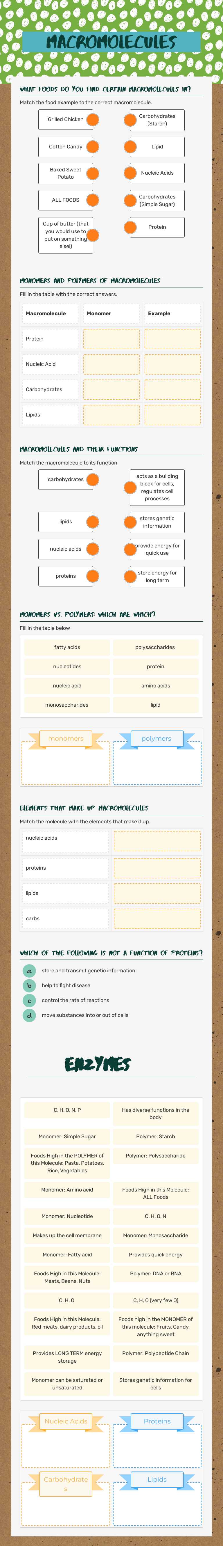 Macromolecules worksheet preview image