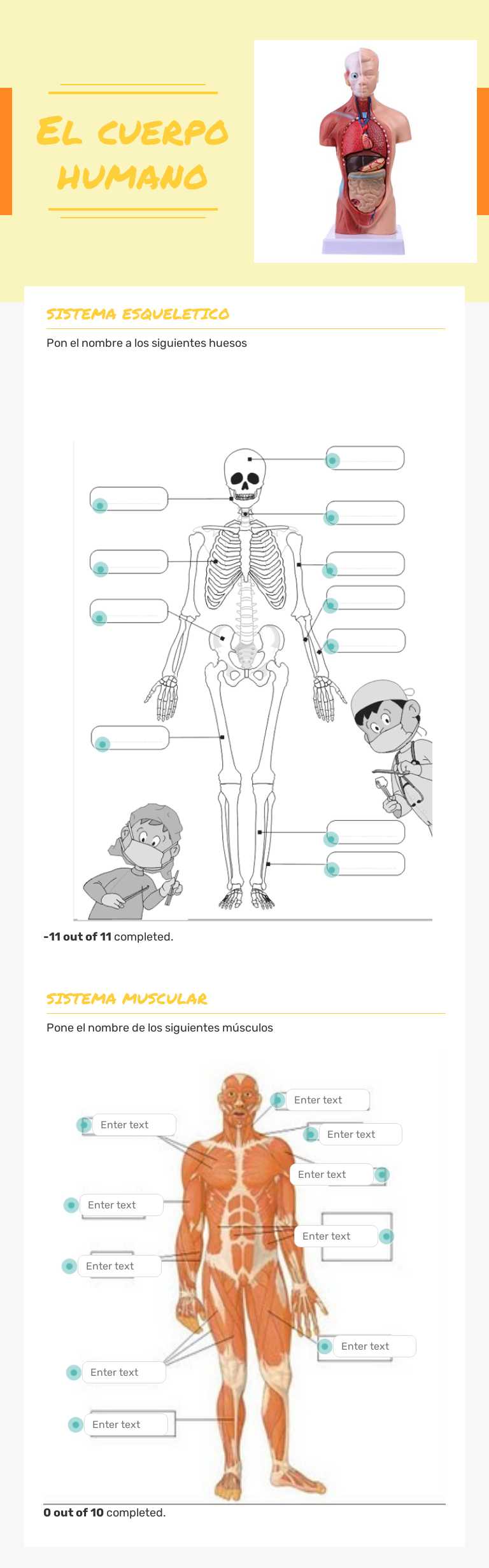 El cuerpo humano worksheet preview image