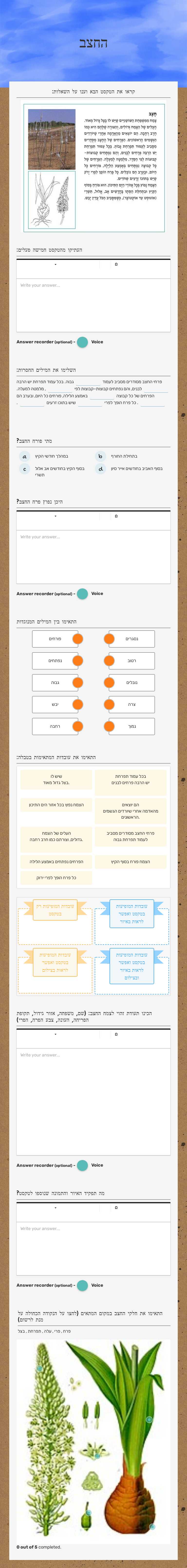 החצב worksheet preview image