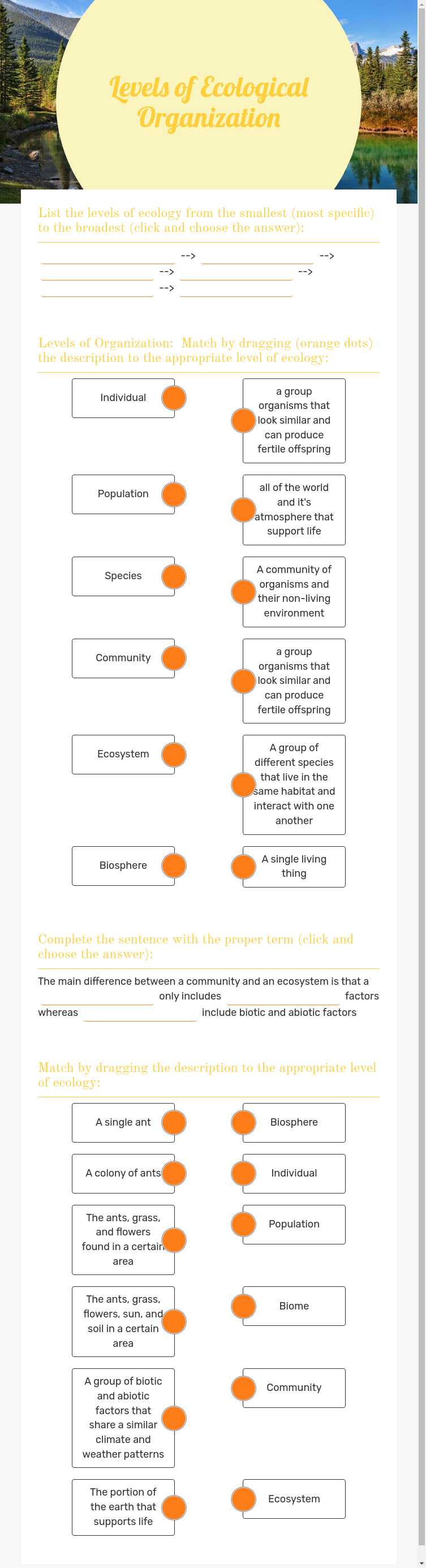 Levels of Ecological Organization worksheet preview image