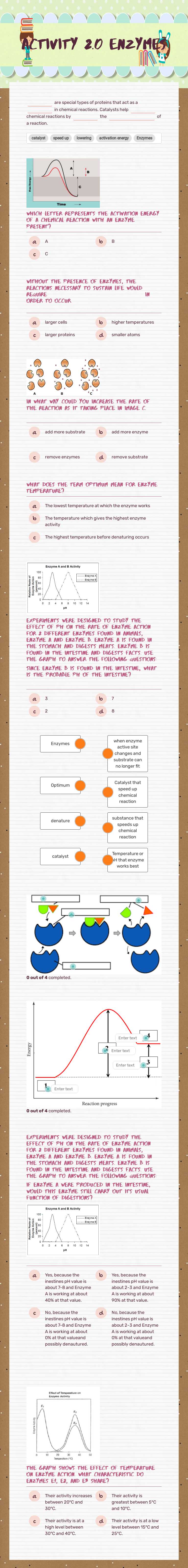 G11 AHS: Activity 2 Enzymes Other worksheet preview