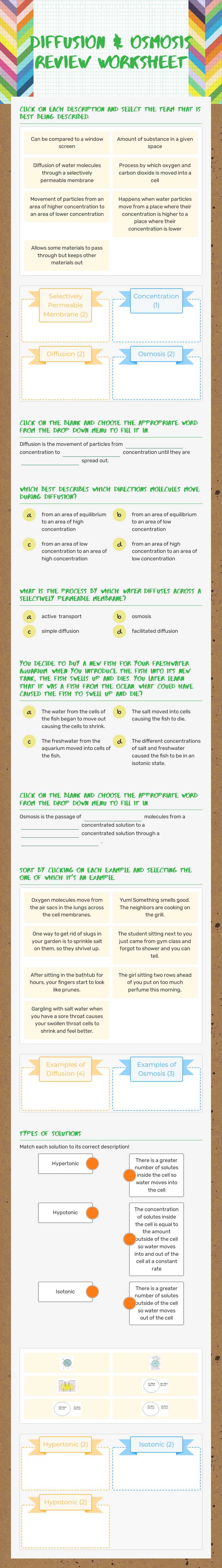 Diffusion & Osmosis Review Worksheet Grade 9 worksheet preview
