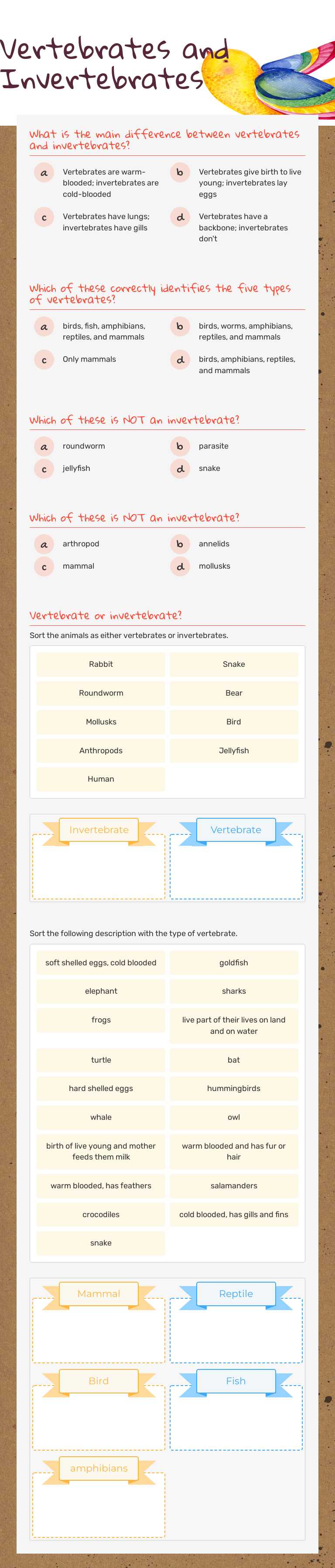 Vertebrates and Invertebrates Grade 5 worksheet preview
