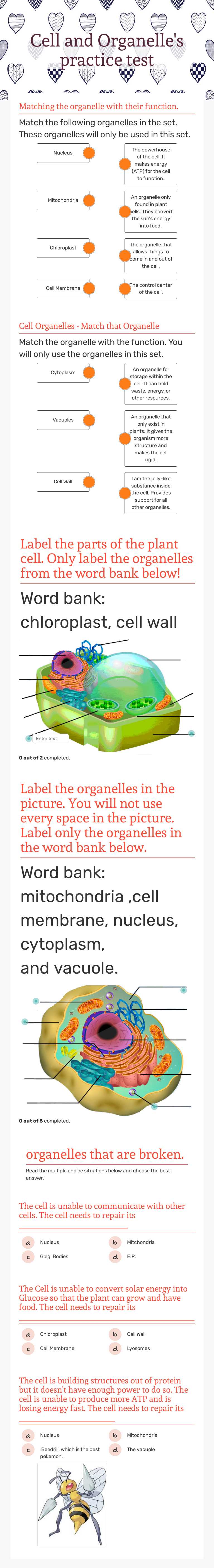 Cell and Organelle's practice test worksheet preview image