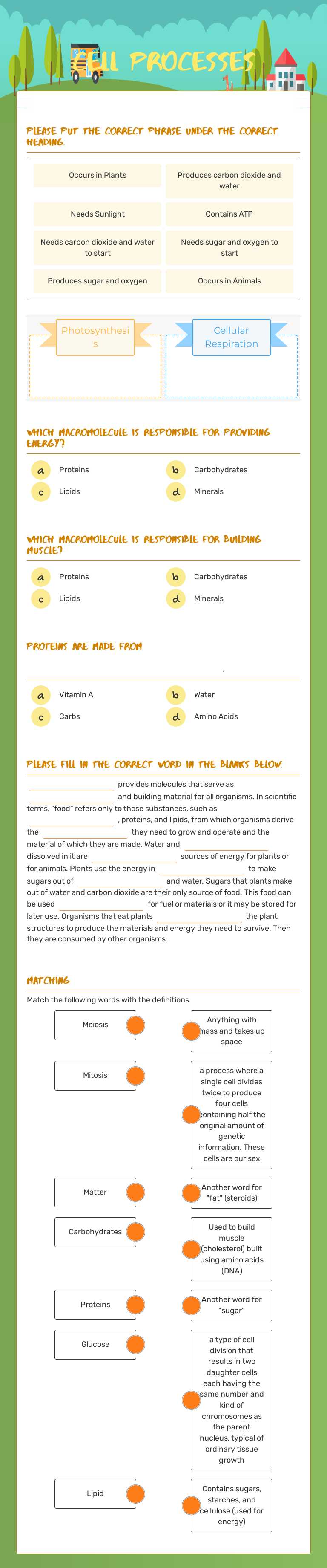 cell processes Grade 8 worksheet preview