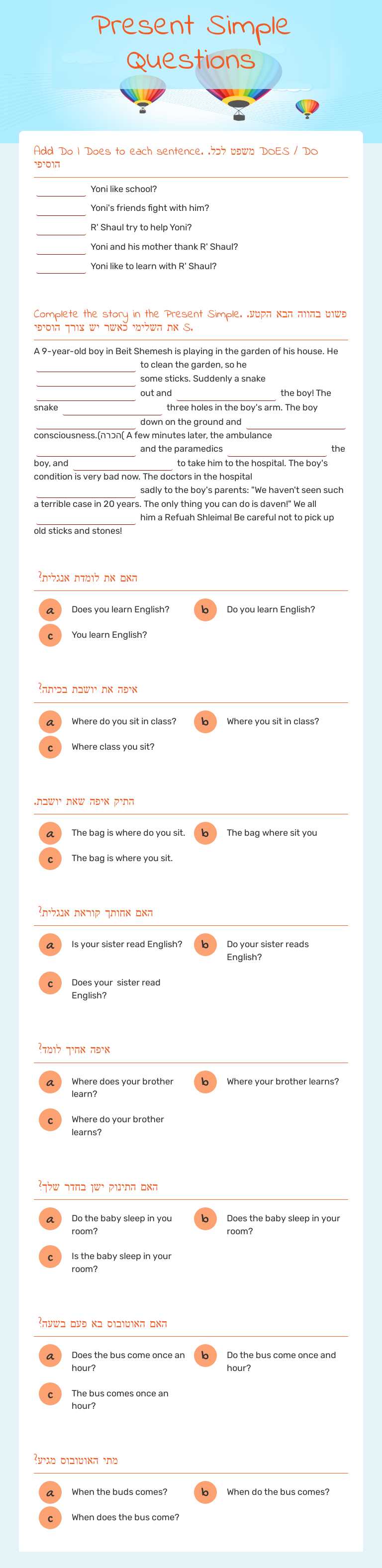 Present Simple Questions worksheet preview image