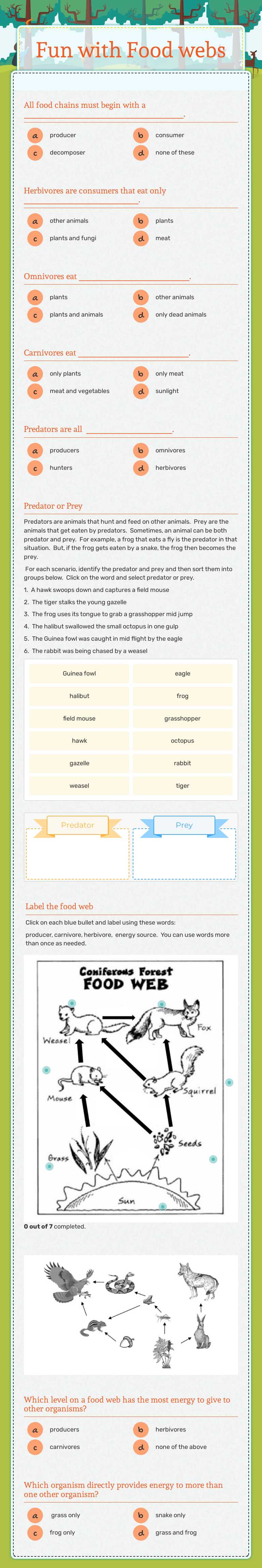 Fun with Food webs worksheet preview image