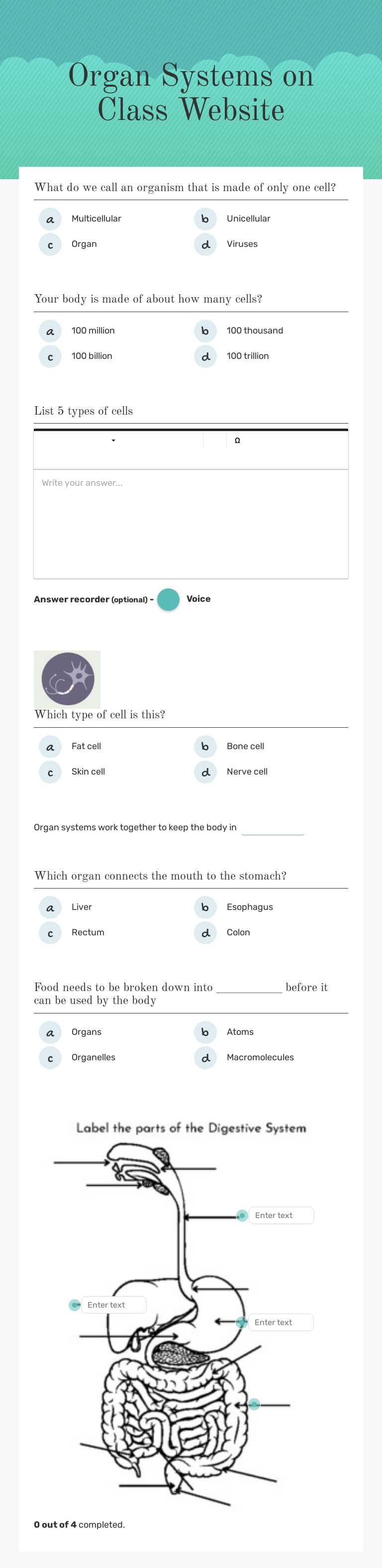Organ Systems on Class Website worksheet preview image