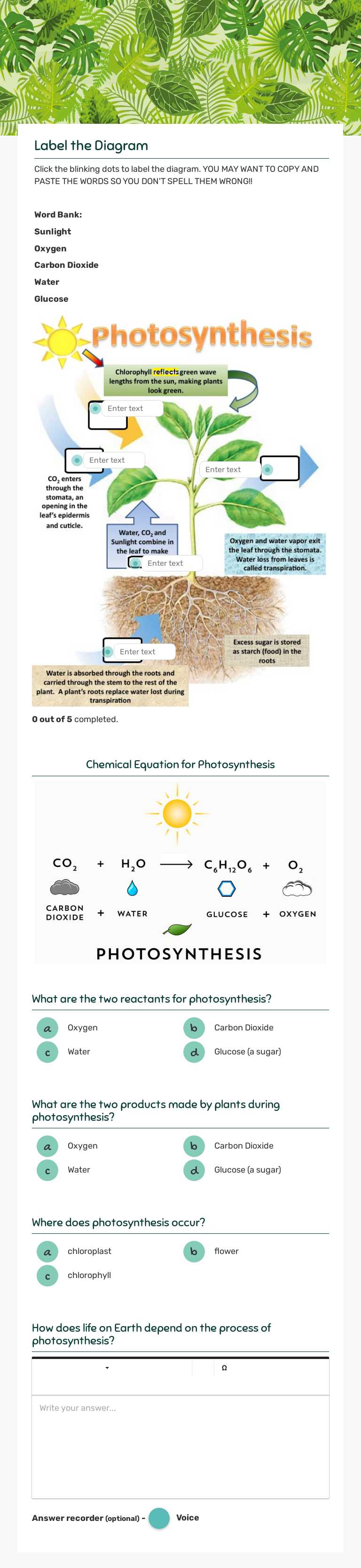 PHOTOSYNTHESIS Review worksheet preview image