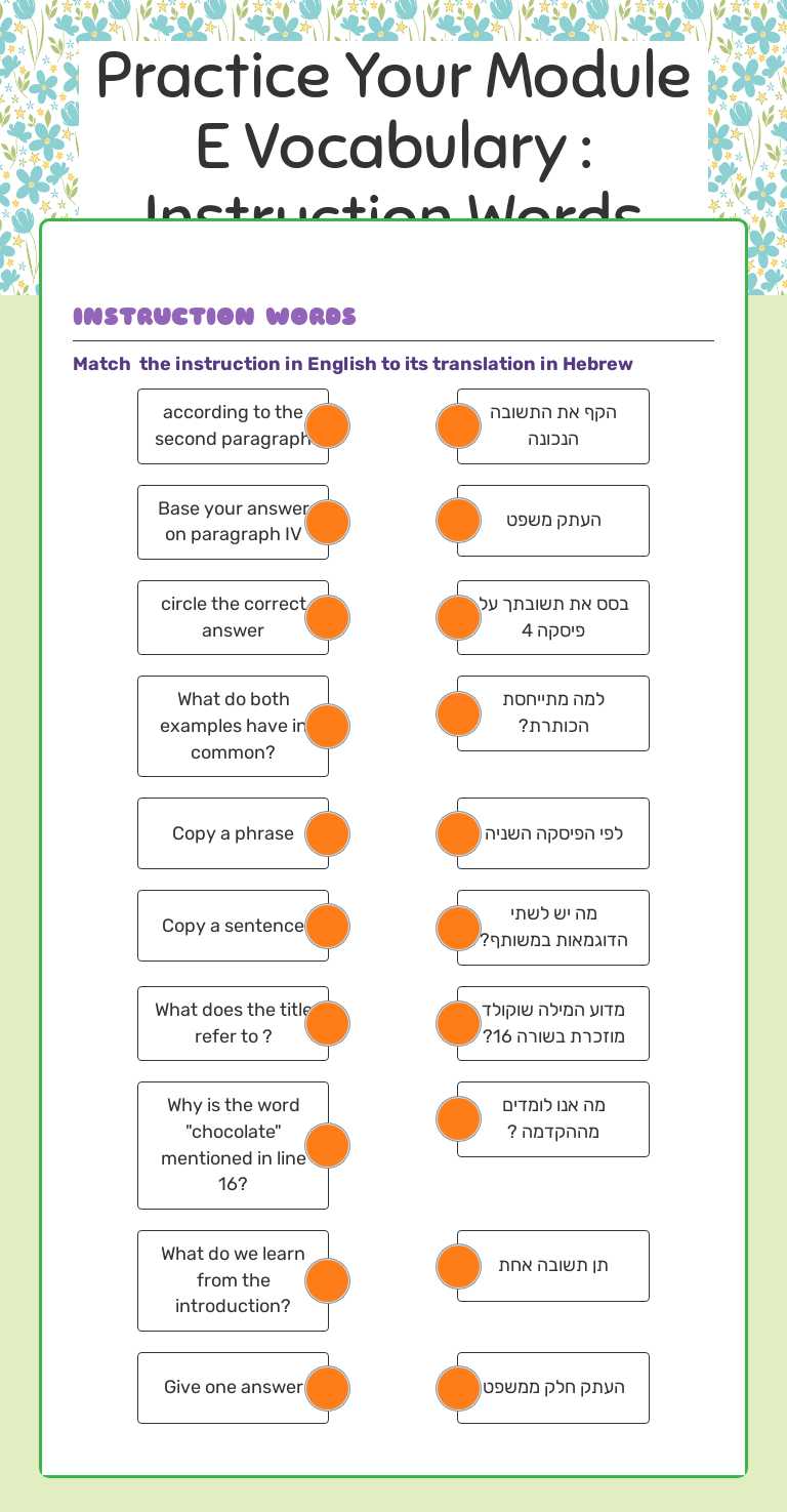 Practice Your Module E Vocabulary  :  Instruction Words worksheet preview image