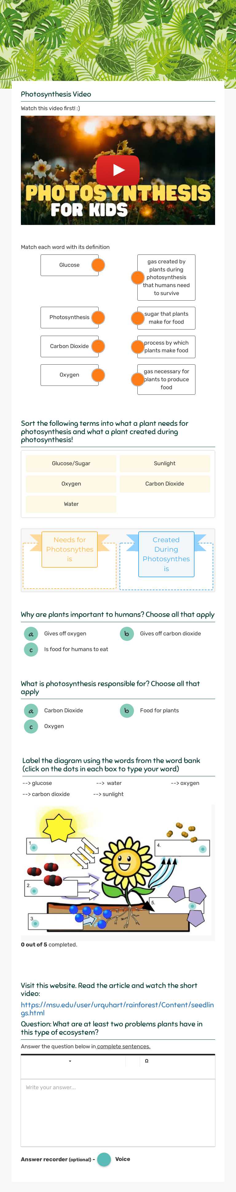 photosynthesis Grade 5 worksheet preview
