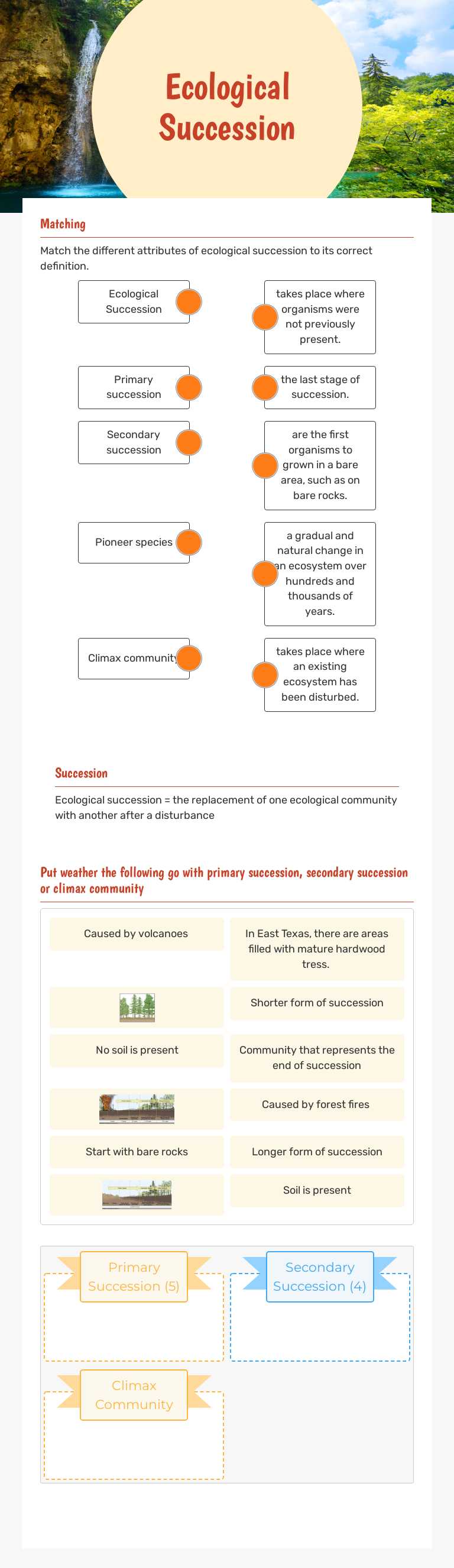 Ecological Succession worksheet preview image