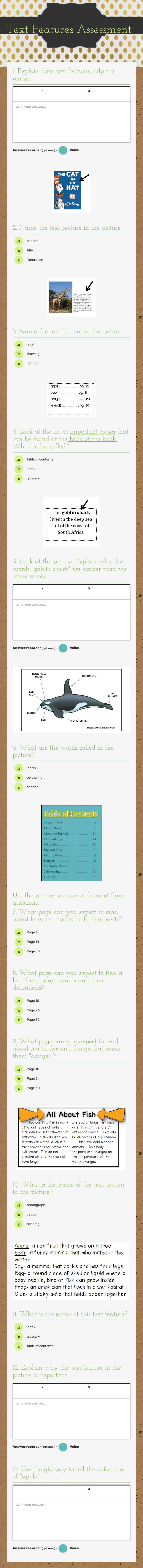 Text Features Assessment worksheet preview image