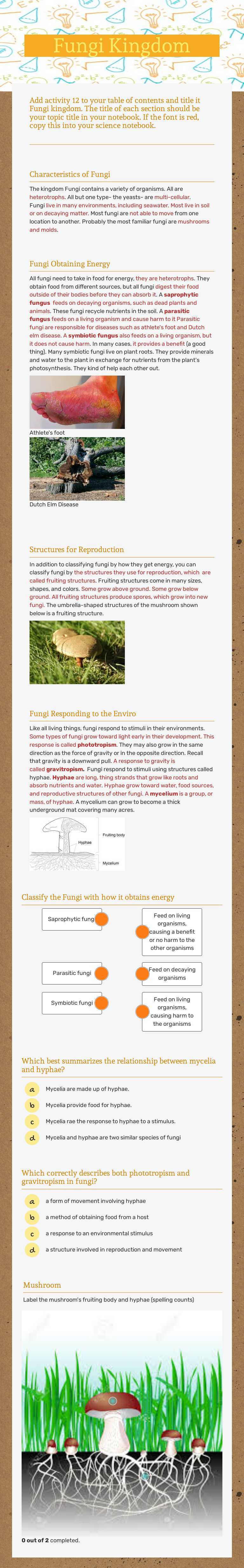 Fungi Kingdom worksheet preview image