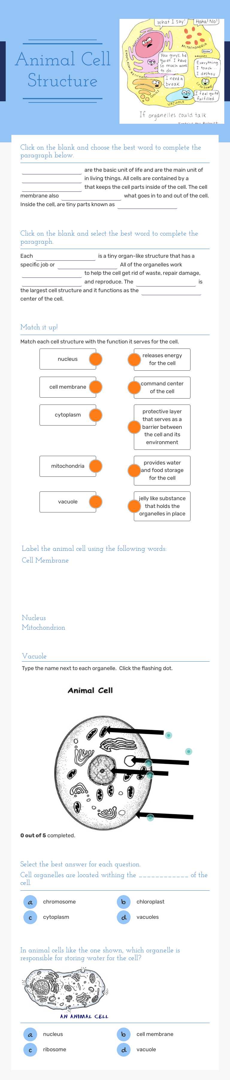 Animal      Cell Structure worksheet preview image