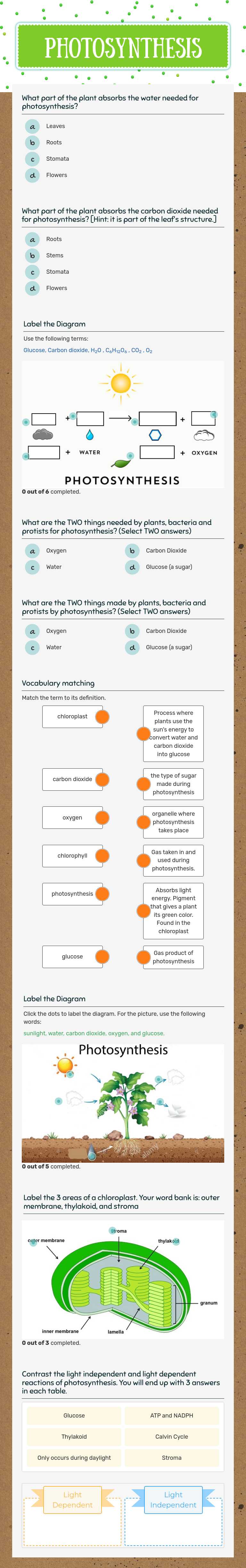 PHOTOSYNTHESIS worksheet preview image