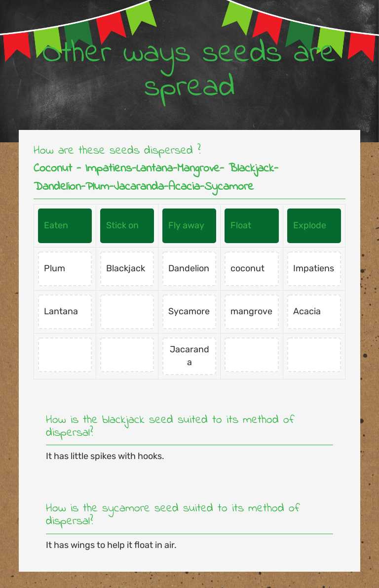 Other ways seeds are spread Grade 4 worksheet preview