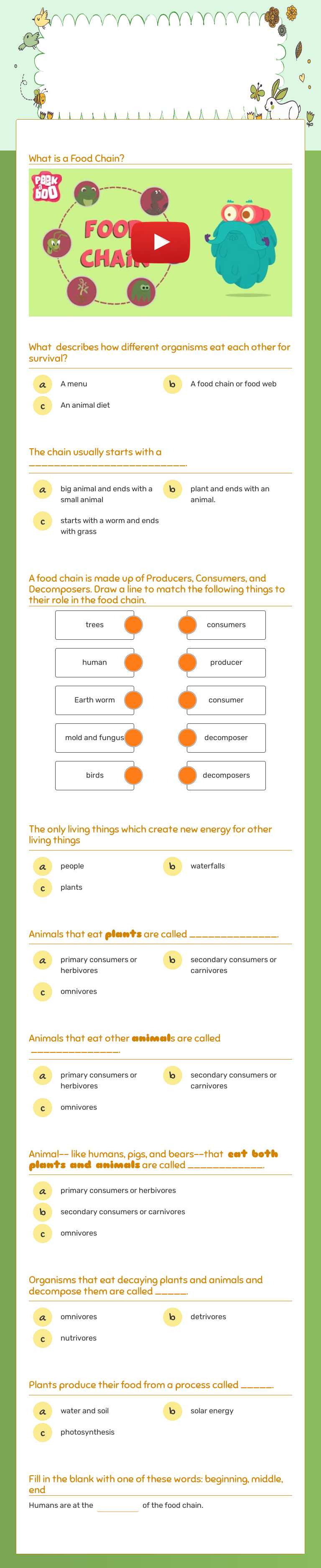 Food Chains Grade 6 worksheet preview