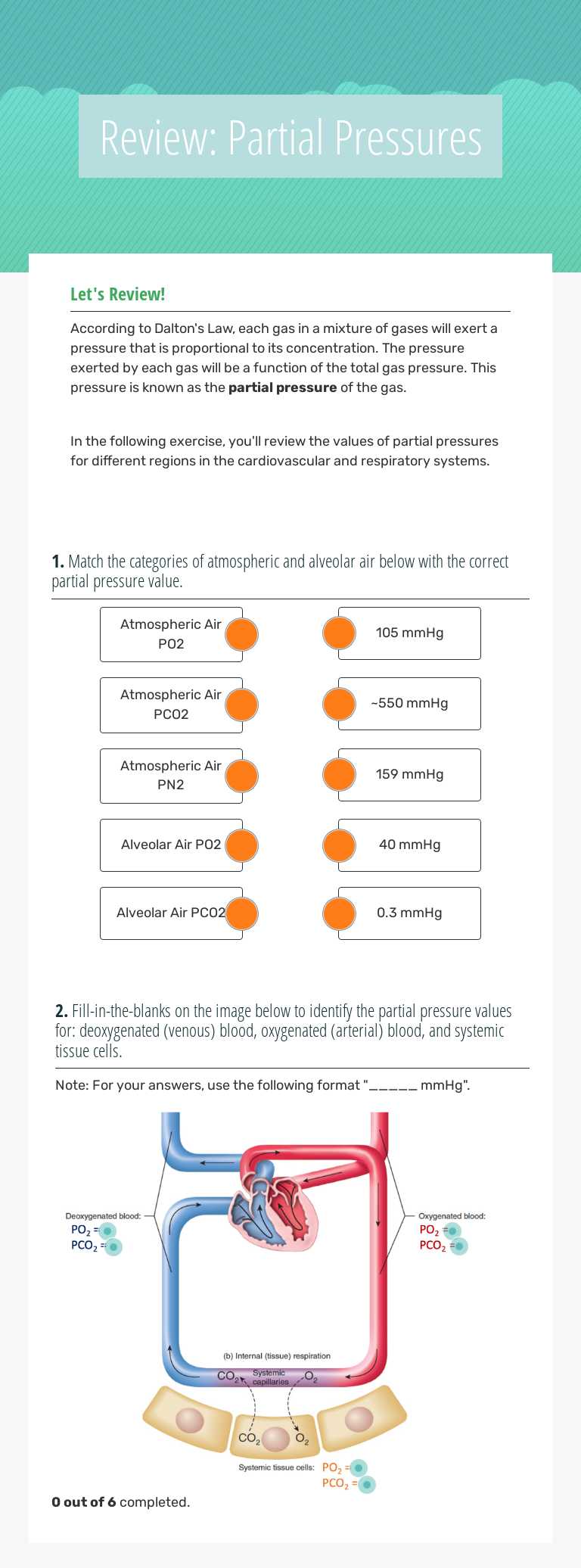 Review: Partial Pressures Other worksheet preview