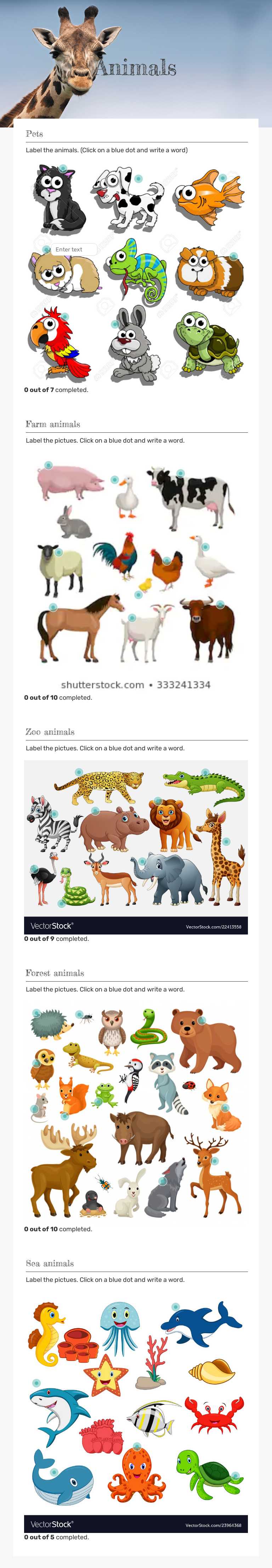 Animals worksheet preview image