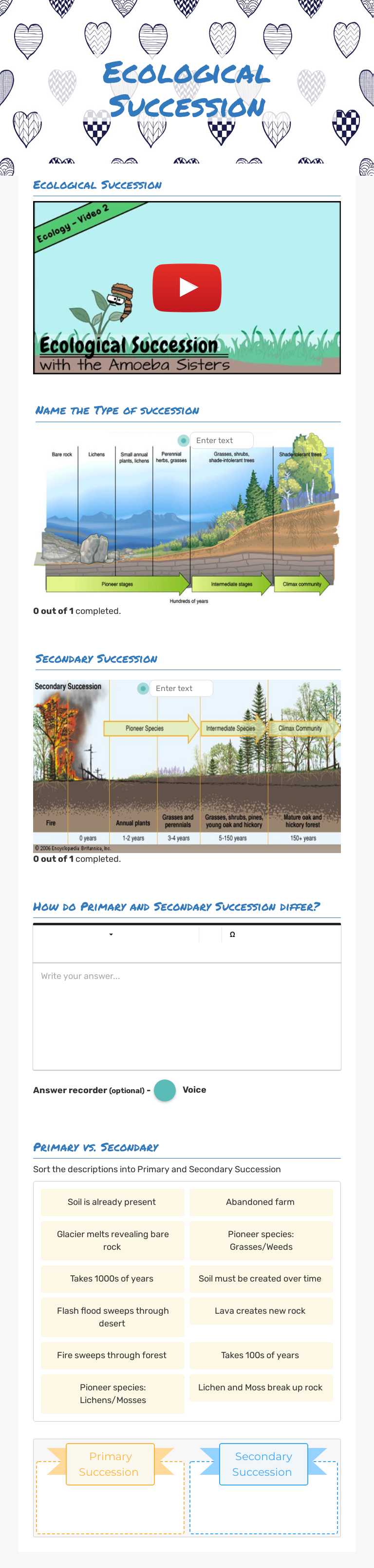 Ecological Succession worksheet preview image
