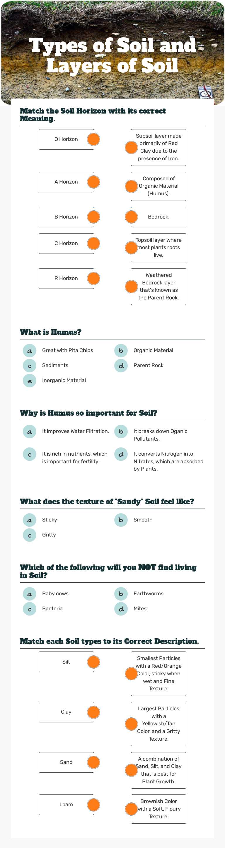 Types of Soil and Layers of Soil worksheet preview image