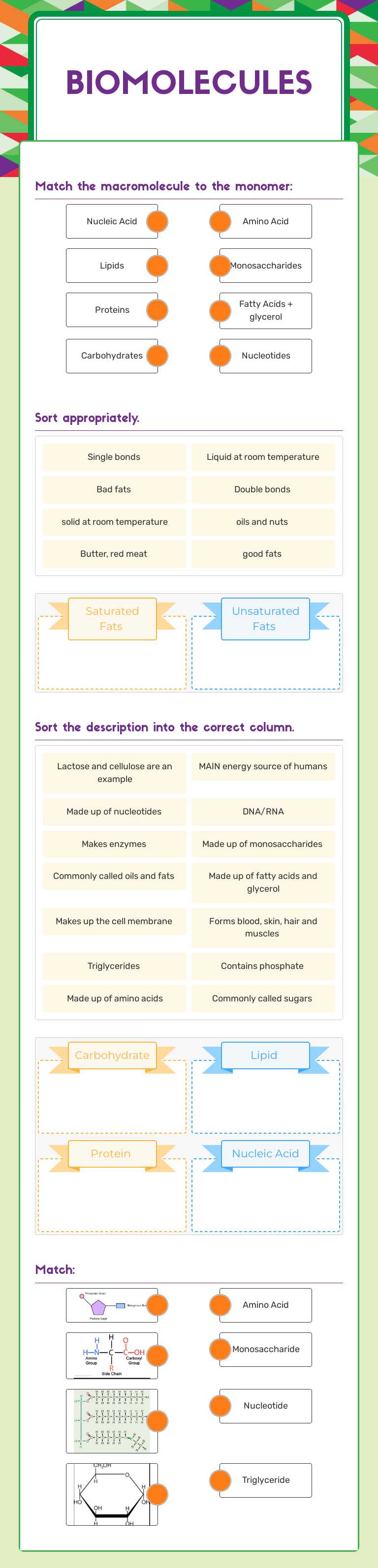Biomolecules worksheet preview image