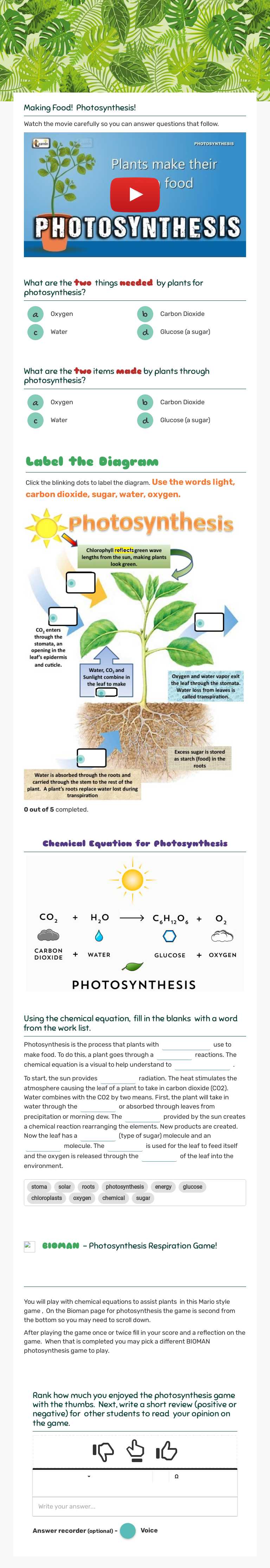 PHOTOSYNTHESIS worksheet preview image