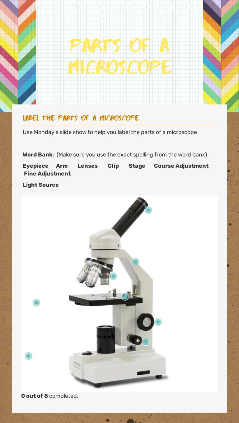 parts of a microscope worksheet preview image