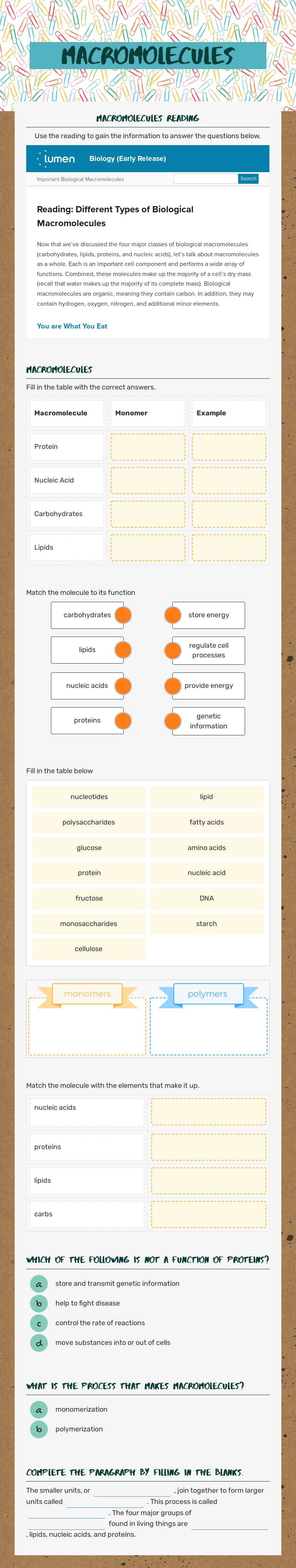 Macromolecules worksheet preview image