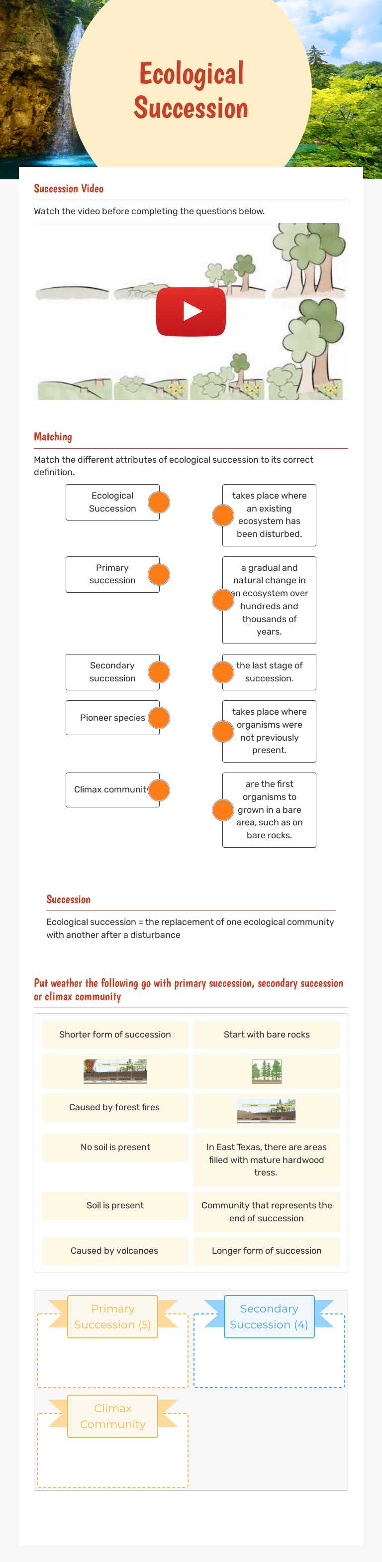 Ecological Succession worksheet preview image