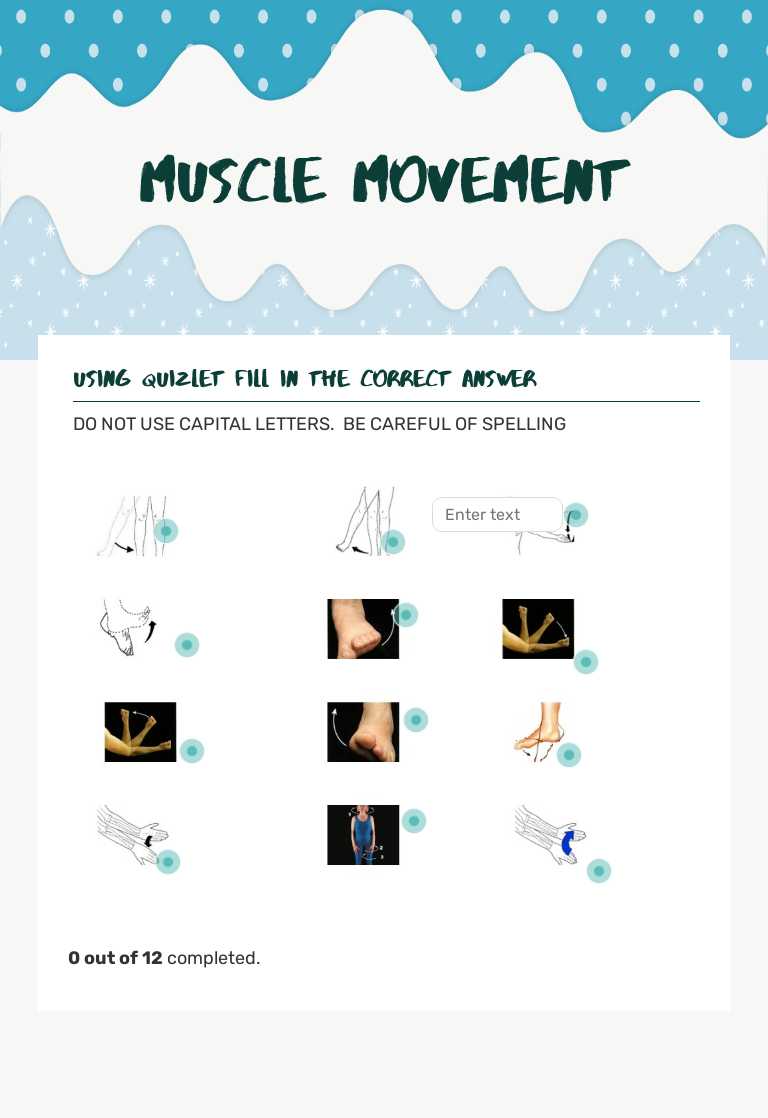 MUSCLE MOVEMENT Grade 11 worksheet preview