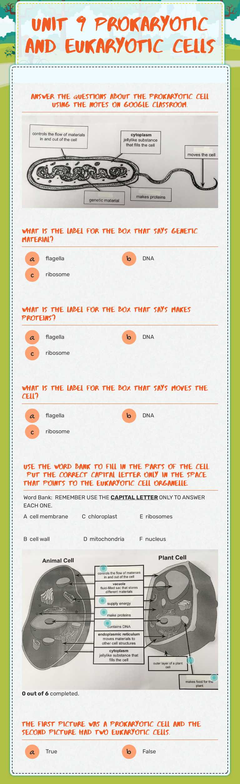 Unit 9 Prokaryotic and Eukaryotic Cells Grade 6 worksheet preview