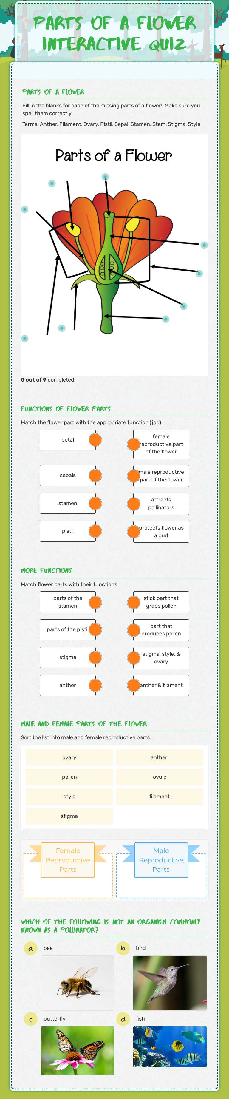 Parts of a flower Interactive Quiz worksheet preview image