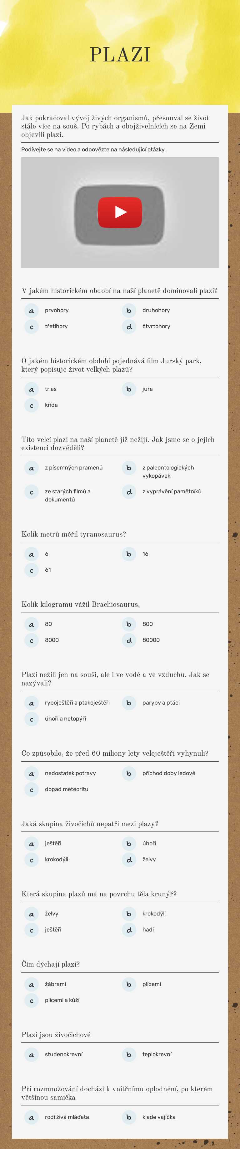 PLAZI worksheet preview image