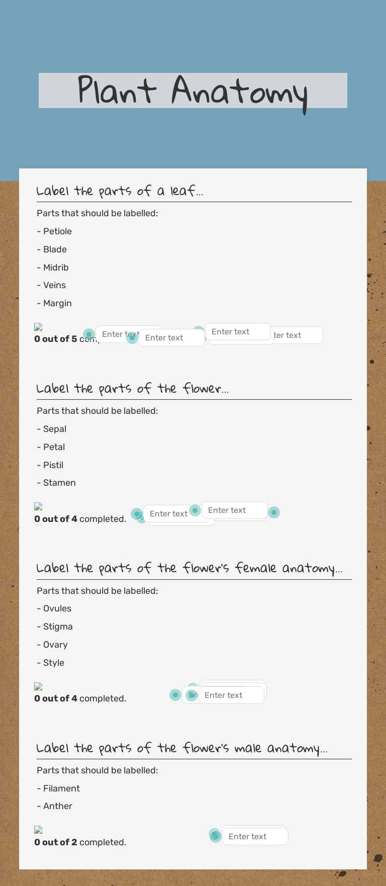Plant Anatomy worksheet preview image