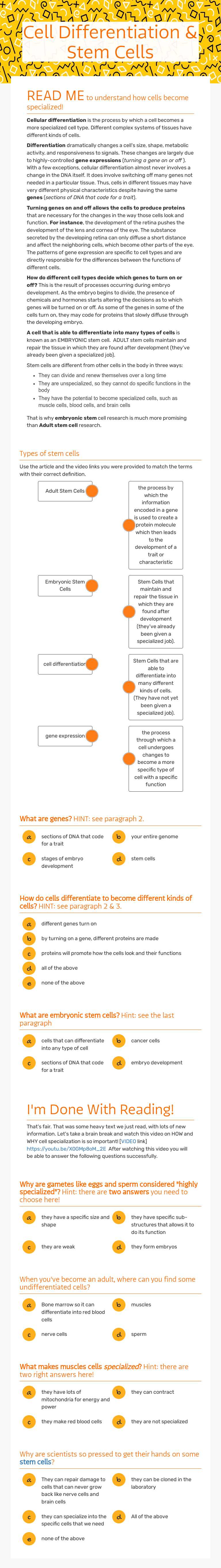 Cell Differentiation & Stem Cells Grade 10 worksheet preview