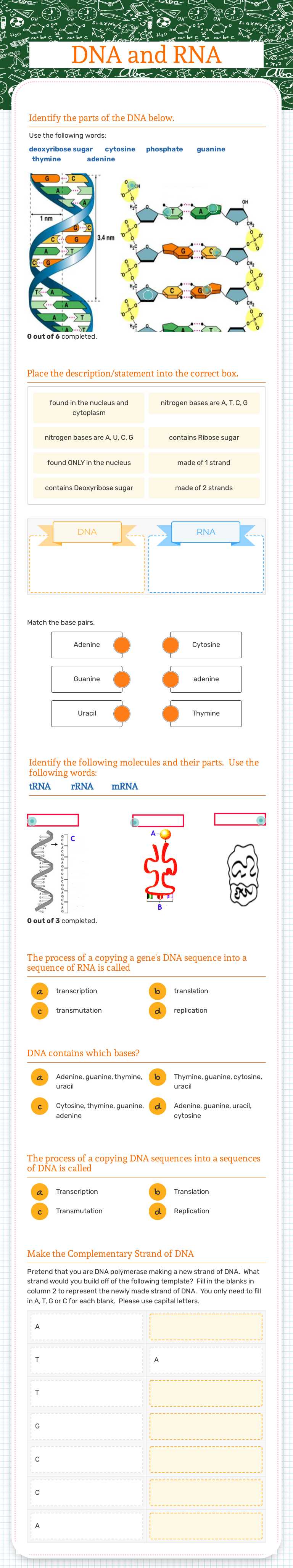DNA and RNA worksheet preview image