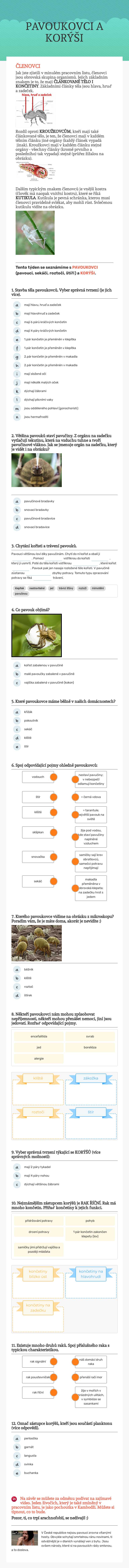 PAVOUKOVCI A KORÝŠI worksheet preview image
