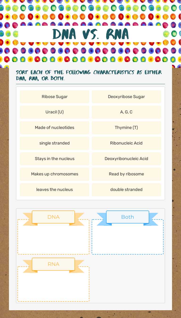 DNA vs. RNA worksheet preview image