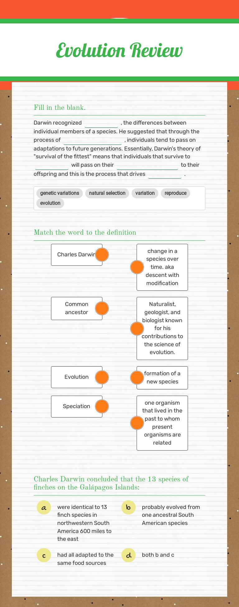 Evolution Review worksheet preview image