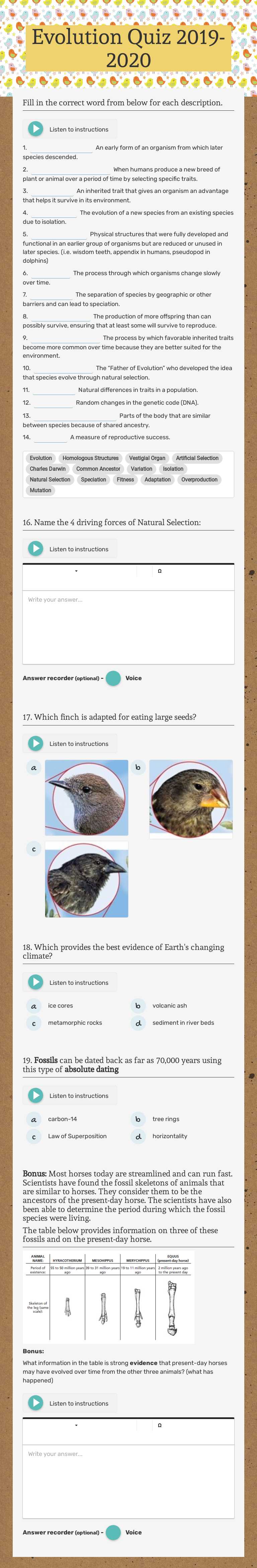 Evolution Quiz 2019-2020 Grade 8 worksheet preview
