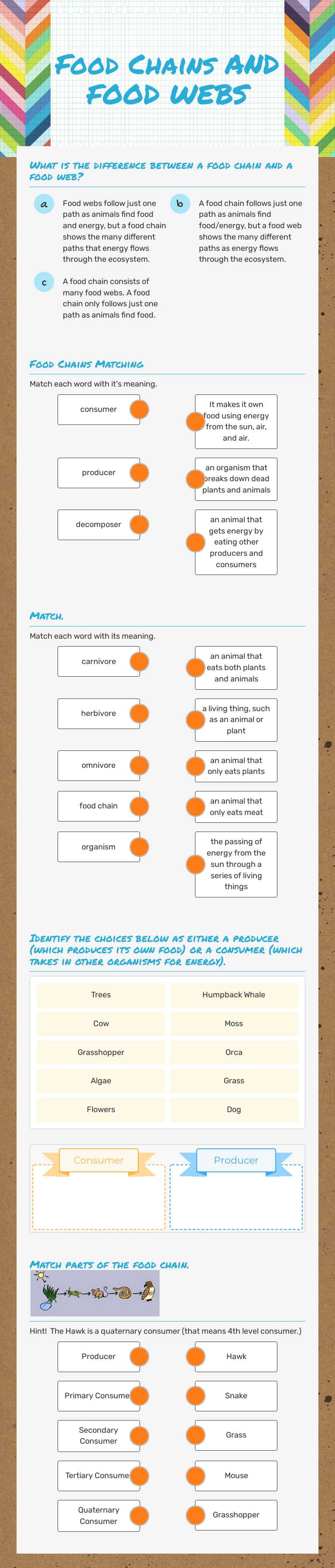 Food Chains AND FOOD WEBS worksheet preview image