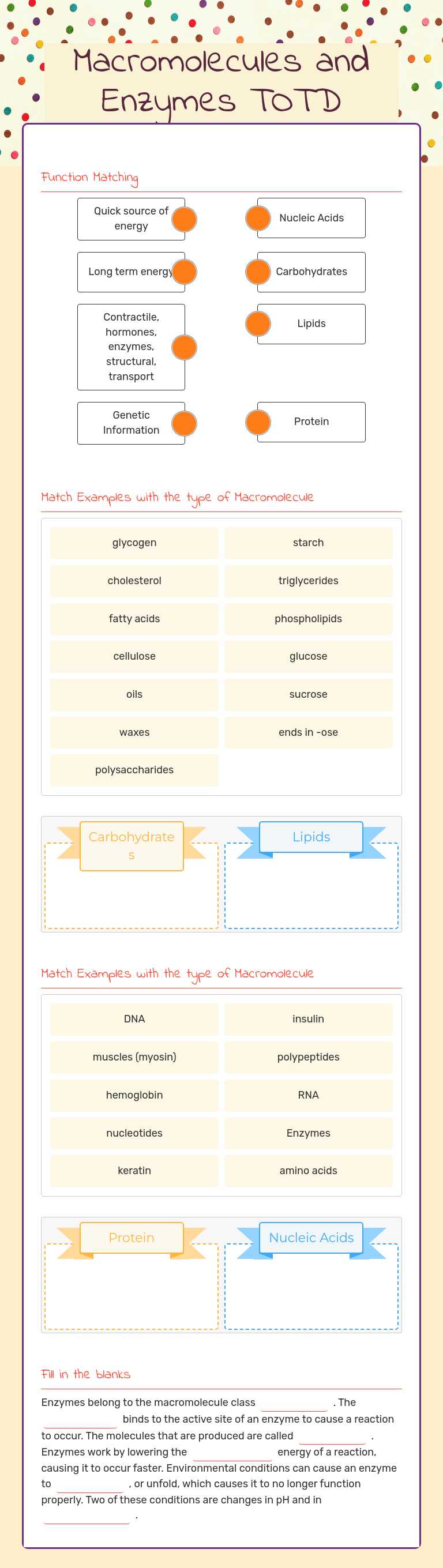 Macromolecules and Enzymes TOTD worksheet preview image