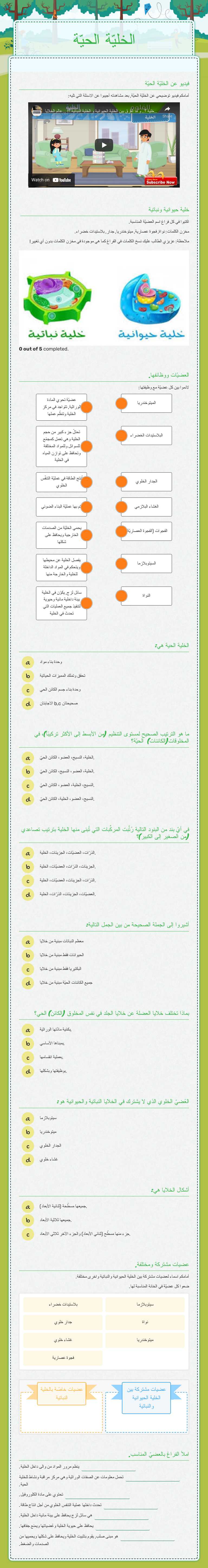 الخليّة الحيّة Grade 7 worksheet preview